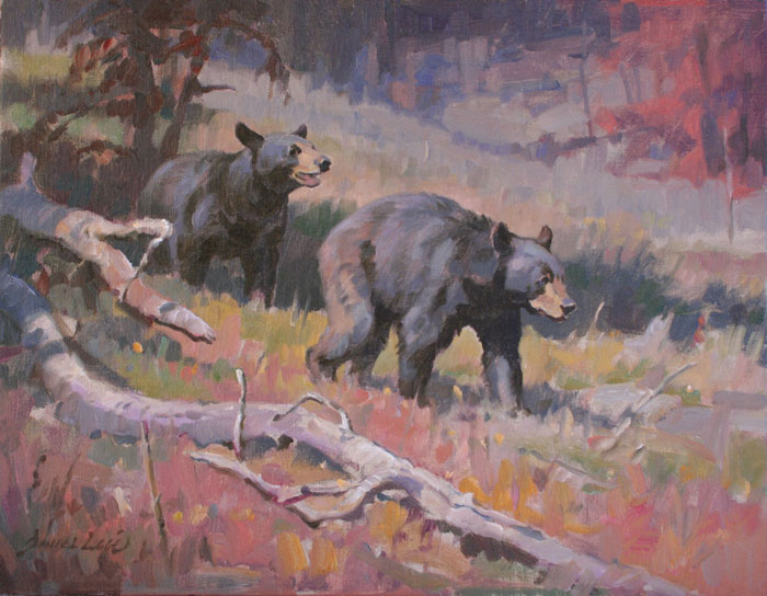 Black Bear Cubs